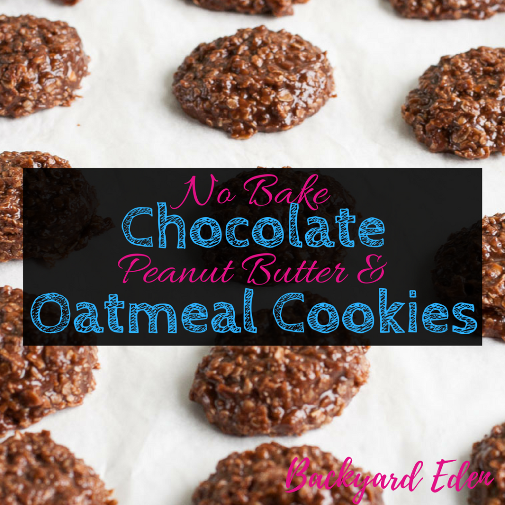 No Bake Chocolate Peanut Butter and Oatmeal cookies, no bake, chocolate oatmeal cookies, cookies, Backyard Eden, www.backyard-eden.com, www.backyard-eden.com/no-bake-chocolate-peanut-butter-and-oatmeal-cookies