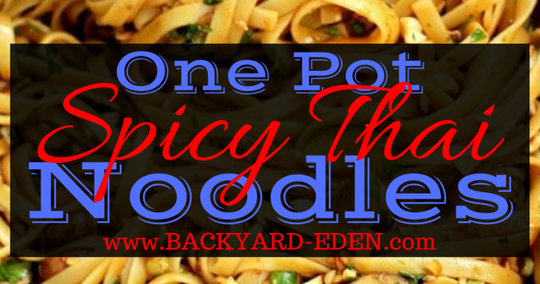 One Pot Spicy Thai Noodles, spicy thai noodles recipe, one pot meals, thai noodles, Backyard Eden, www.backyard-eden.com, www.backyard-eden.com/one-pot-spicy-thai-noodles