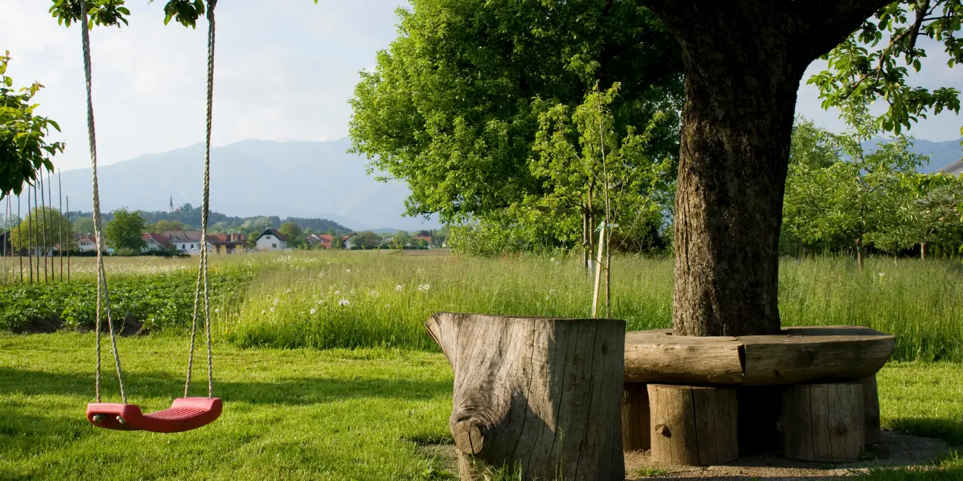 How to Hang a Swing Between Two Trees: Our Top 3 Swings for Your Backyard