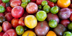What is the Sweetest Tomato, Backyard Eden, www.backyard-eden.com