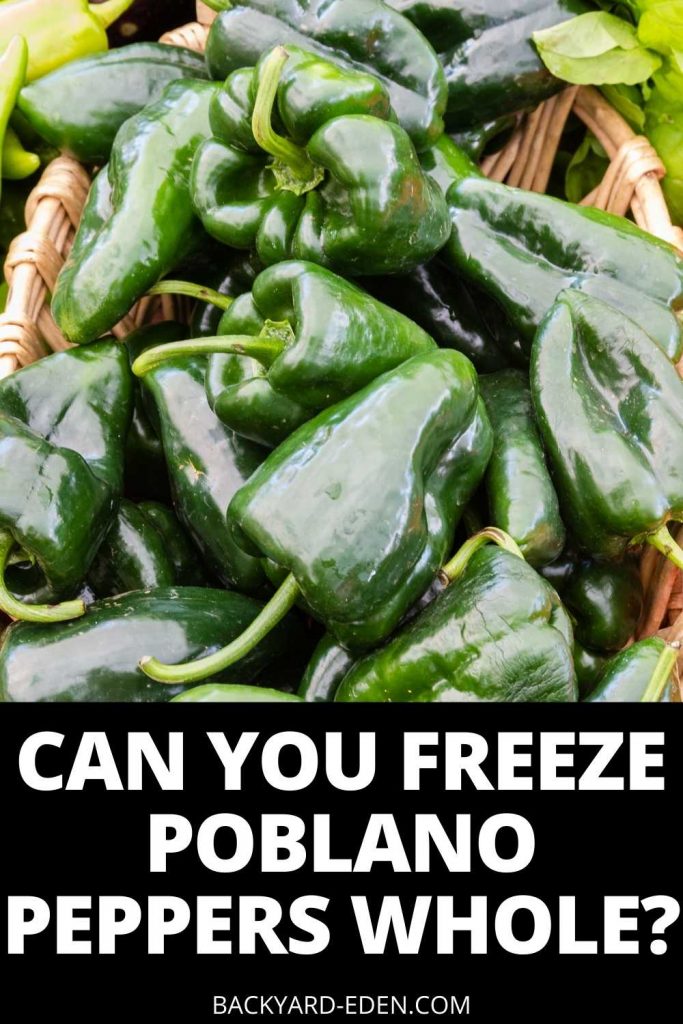 can you freeze poblanos whole