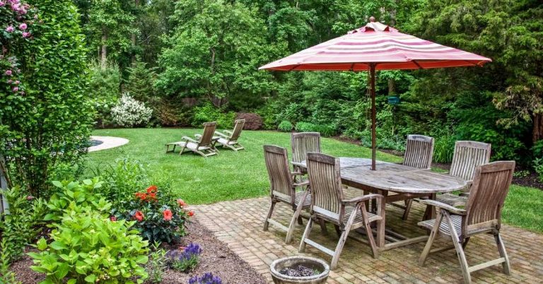 What is the Difference Between a Garden and a Backyard