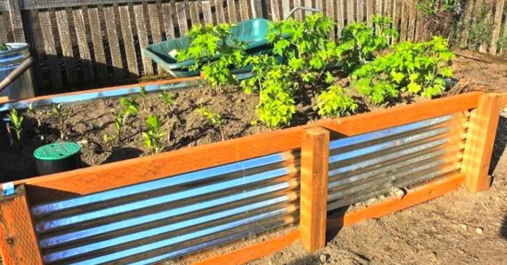 is corrugated metal safe for garden beds