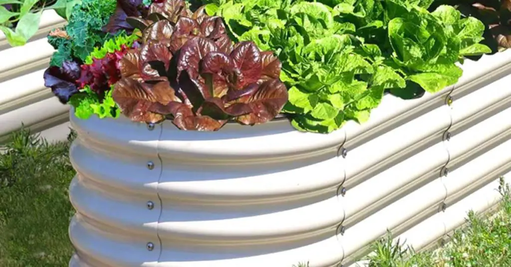 Are galvanized steel garden beds safe
