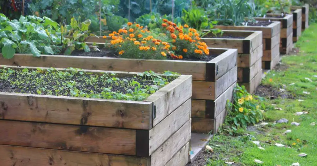 benefits of raised bed gardening