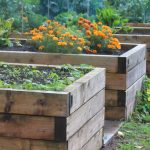 What Are Some Alternatives To Pressure Treated Lumber For Raised Beds?