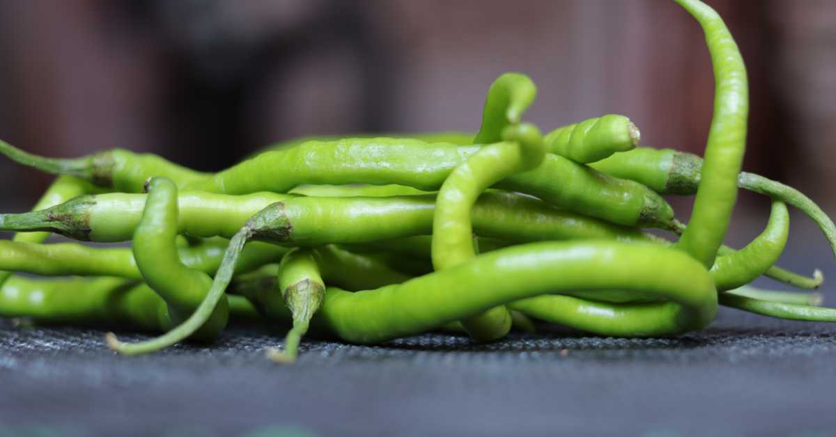 What To Do With Green Cayenne Peppers? 10 Delicious Ideas