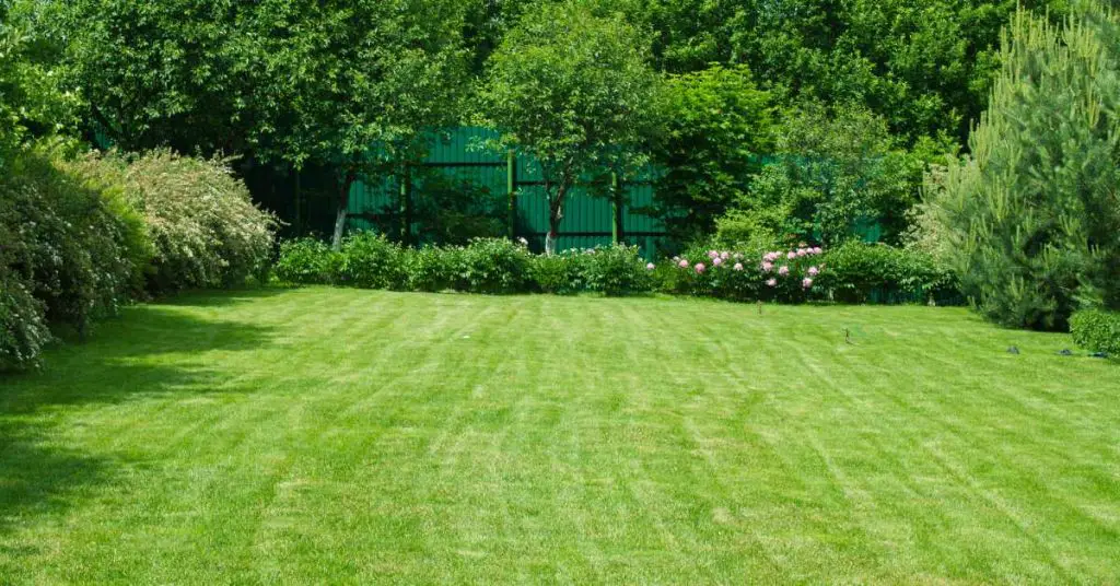 can i use lawn fertilizer in my garden
