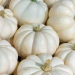 Can You Eat White Pumpkins?