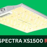 VIPARSPECTRA XS1500 LED Grow Light Review: Is it Worth the Investment?