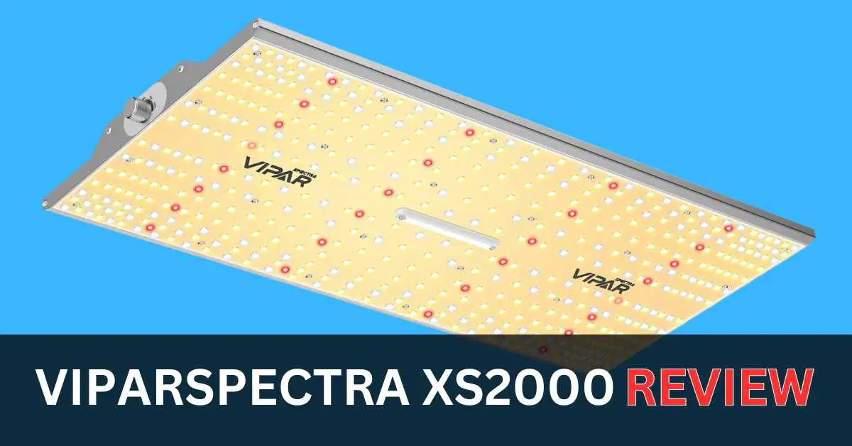 VIPARSPECTRA XS2000 Review: Is This the Best Grow Light for Indoor Plants?