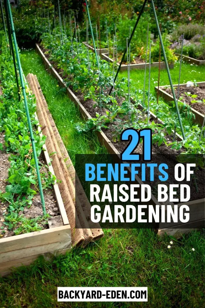 benefits of raised bed gardening