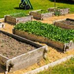 21 Benefits of Raised Bed Gardening