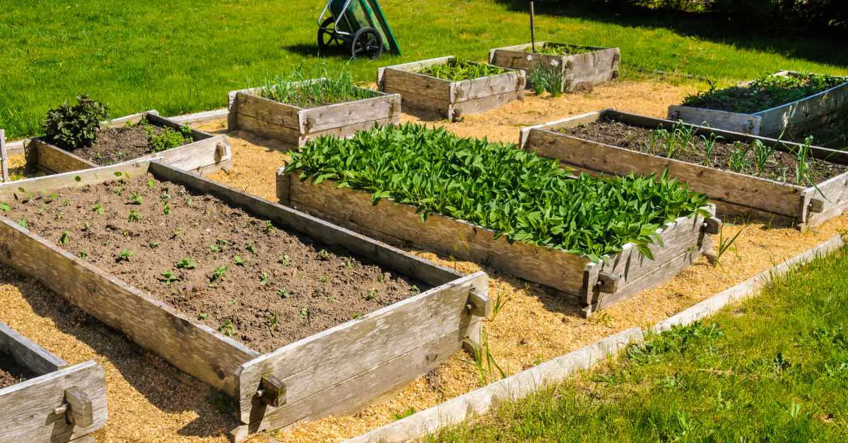 21 Benefits of Raised Bed Gardening