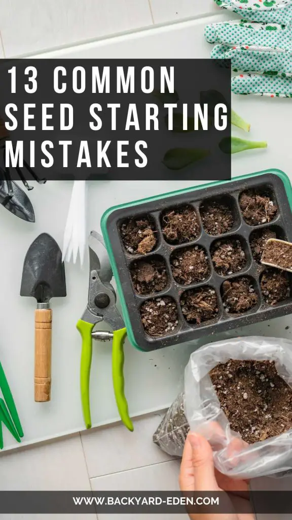 Seed Starting Mistakes