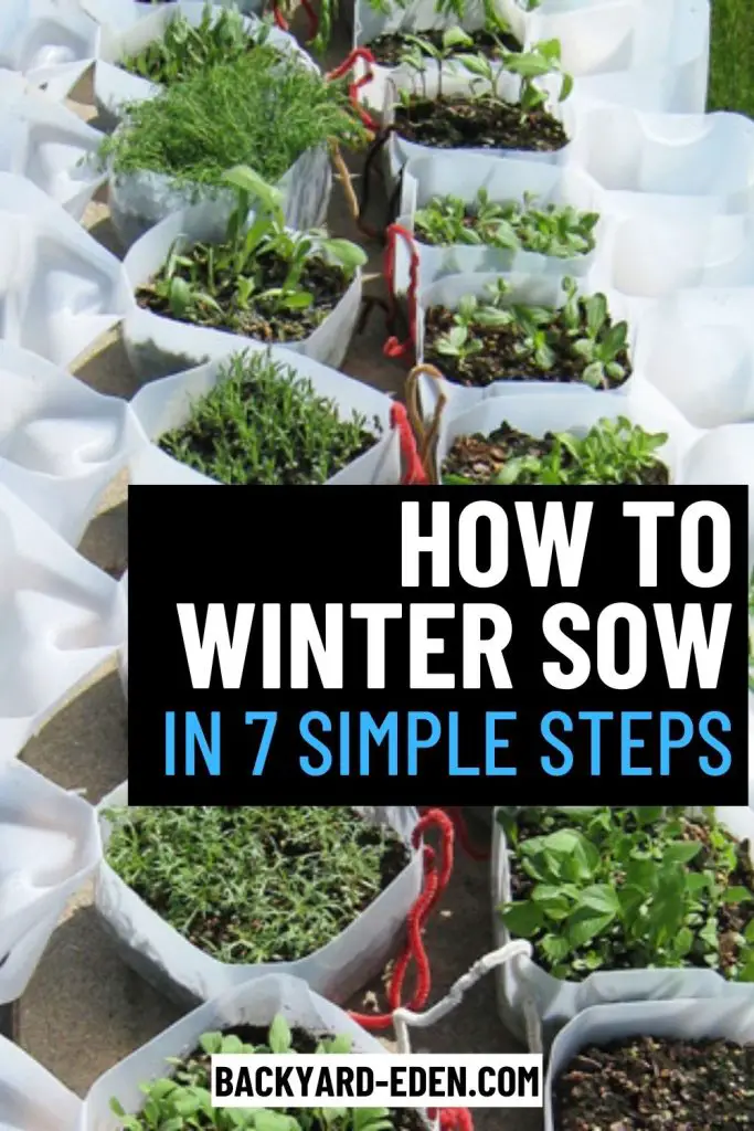 How to winter sow seeds