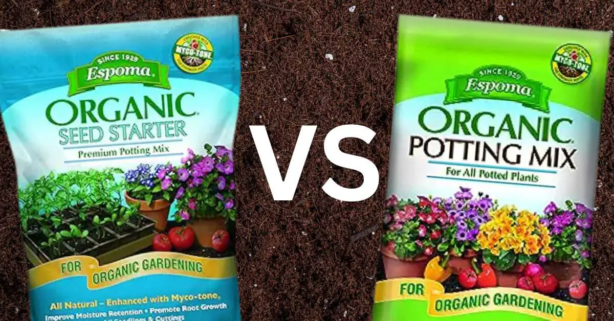 Seed Starting Mix vs Potting Mix: What’s the Difference?