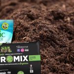Does Seed Starting Mix Expire?