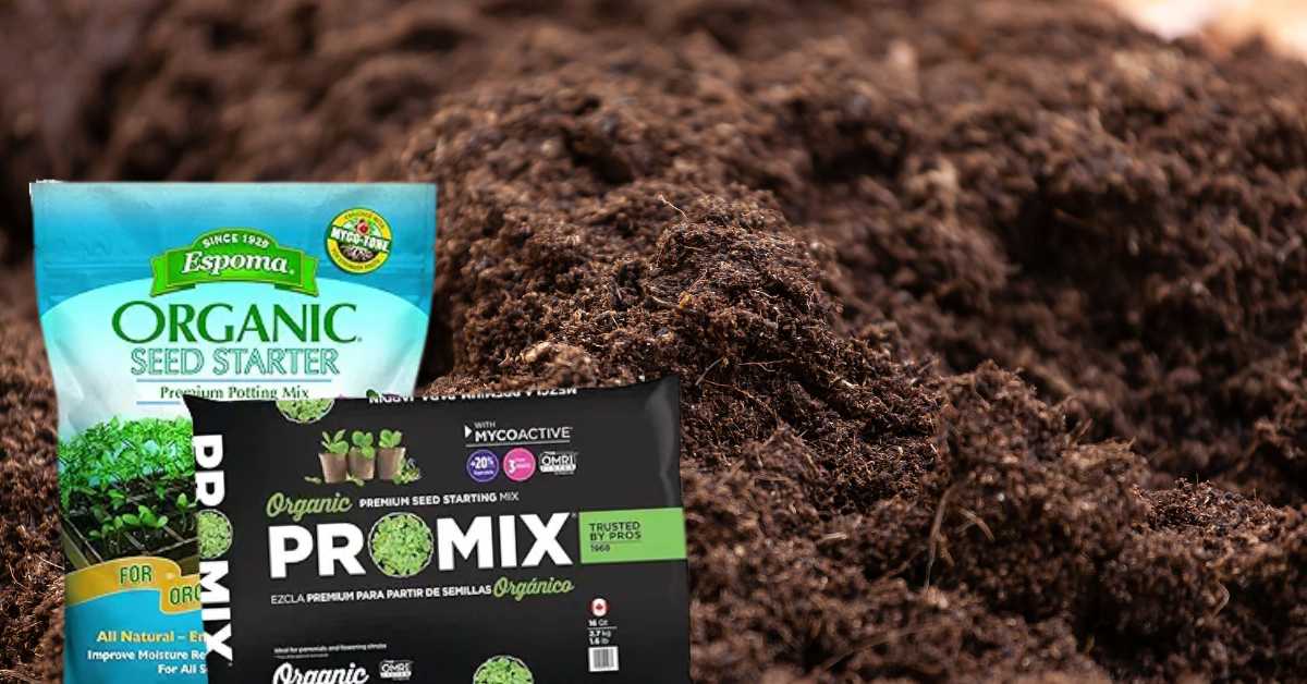 Does Seed Starting Mix Expire?