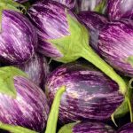 How To Grow Eggplant From Seed