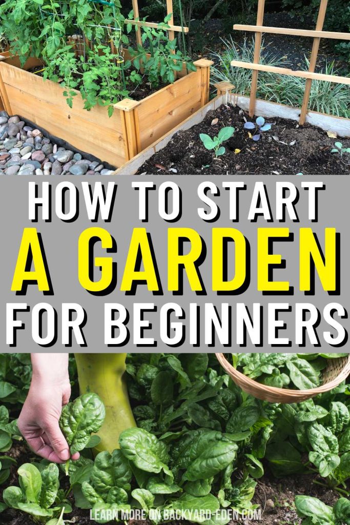 how to start a garden for beginners
