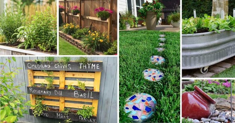 cheap backyard ideas
