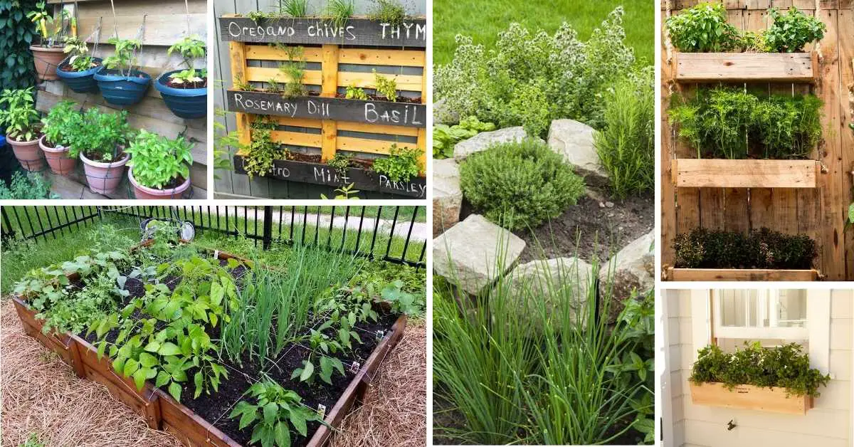 11 Small Garden Layout Ideas for a Stunning Garden Oasis!