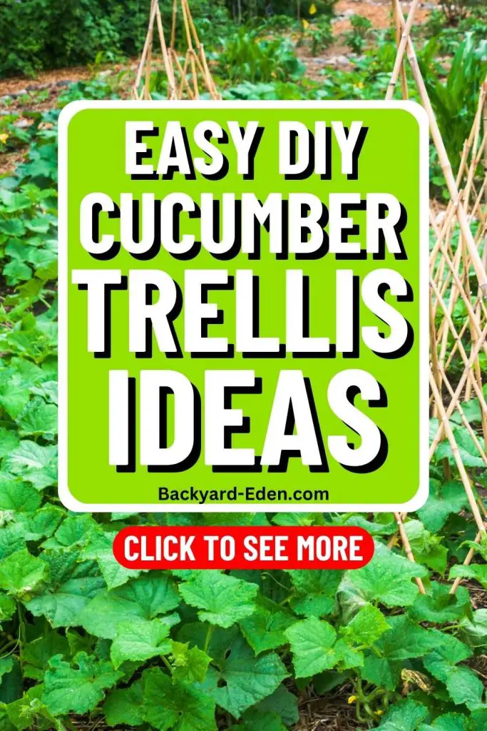 easy diy cucumber trellis ideas