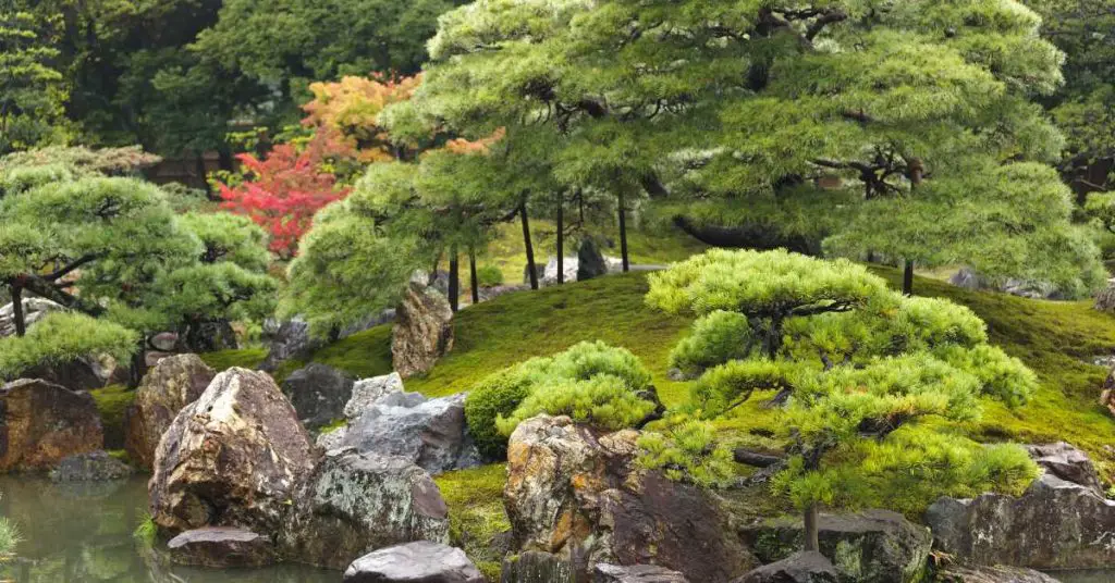 how to create a japanese garden