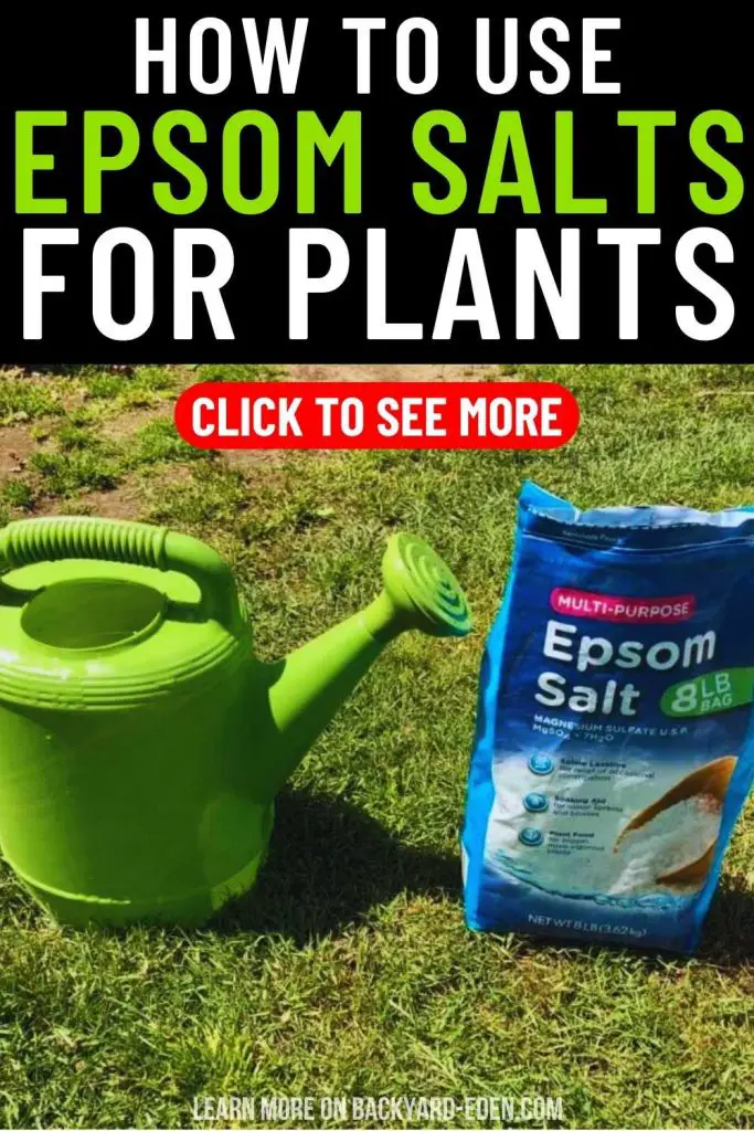 how to use epsom salts for plants