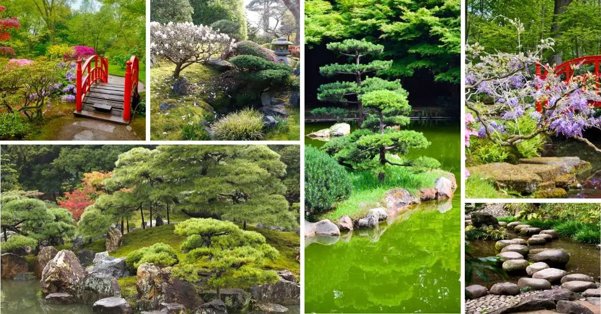 How to Create a Japanese Garden: Transform Your Space into a Tranquil Oasis