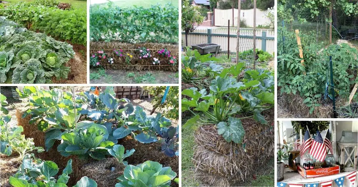 Genius Straw Bale Garden Ideas: Transform Your Garden Easily
