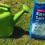 How To Use Epsom Salt For Plants
