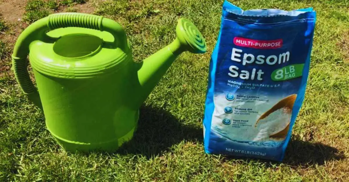 How To Use Epsom Salt For Plants