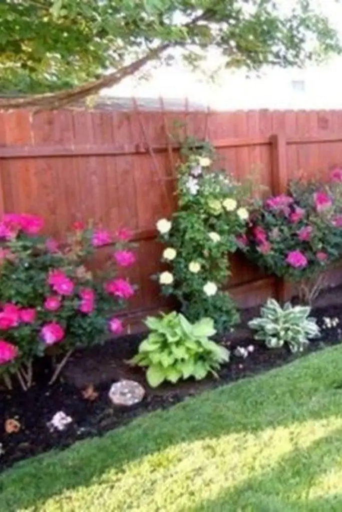 what to plant along a fence