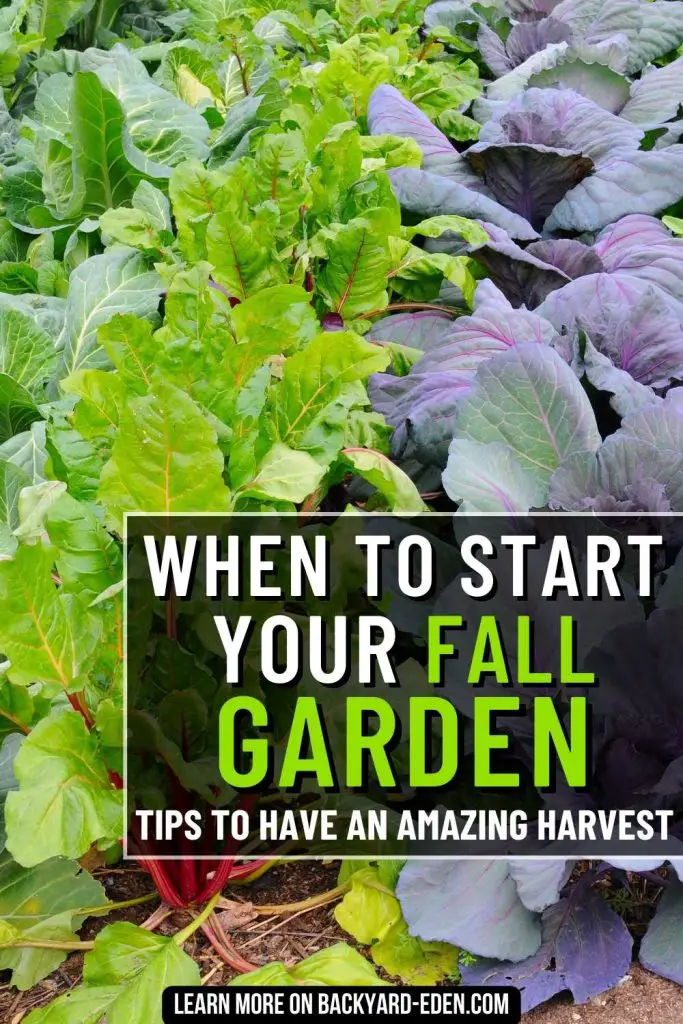 When to plant a fall vegetable garden