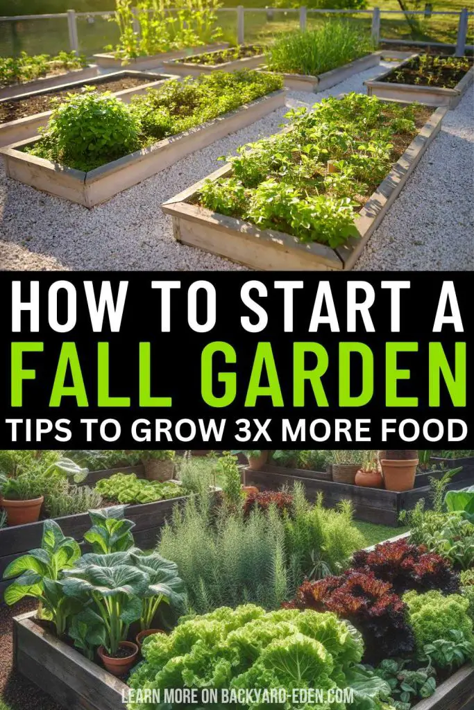 how to start a fall garden