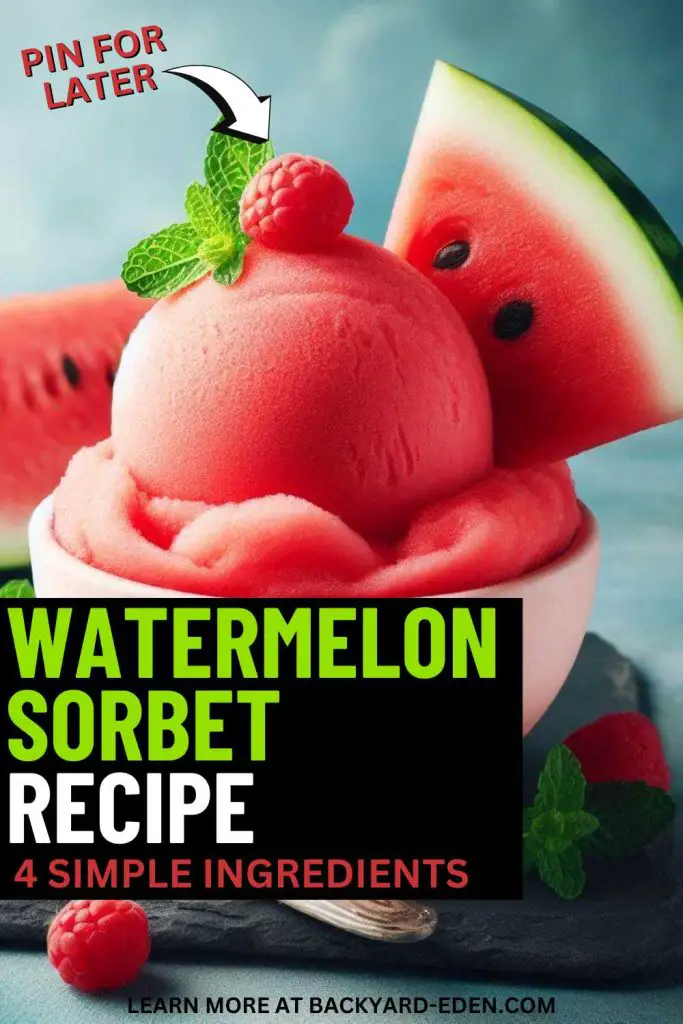 watermelon sorbet recipe