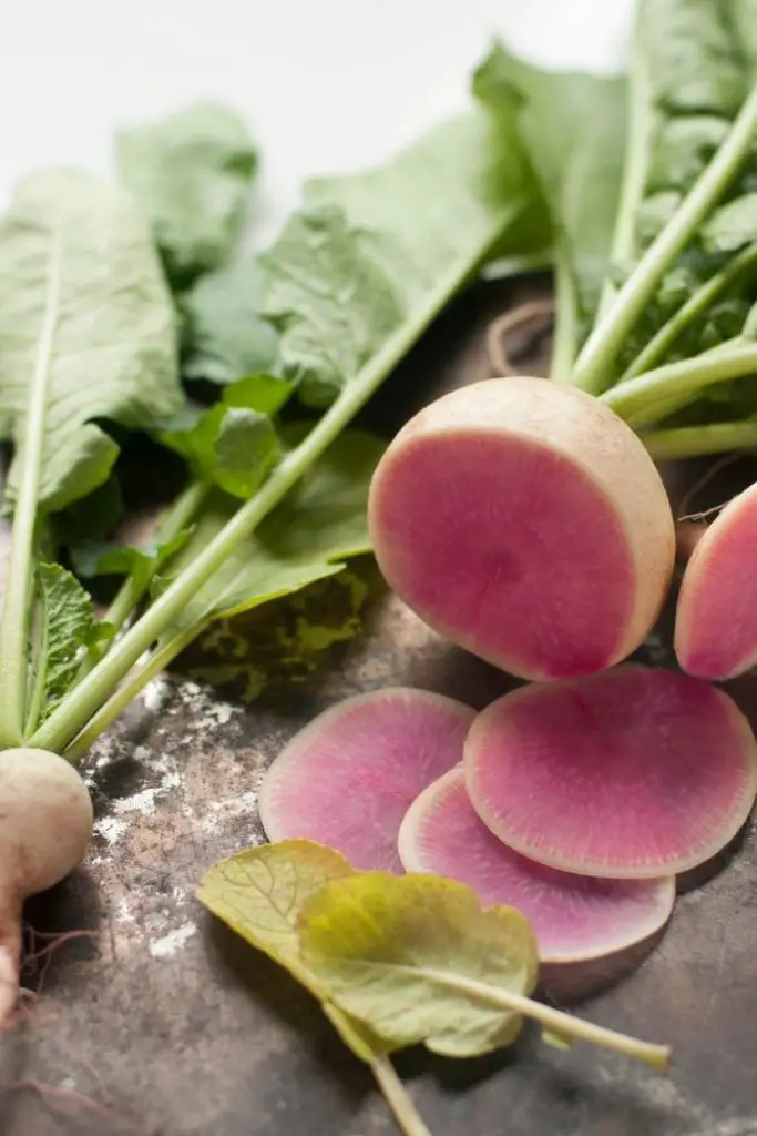 how to grow watermelon radish