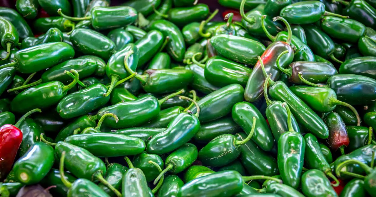 How To Grow Jalapenos From Seeds Indoors