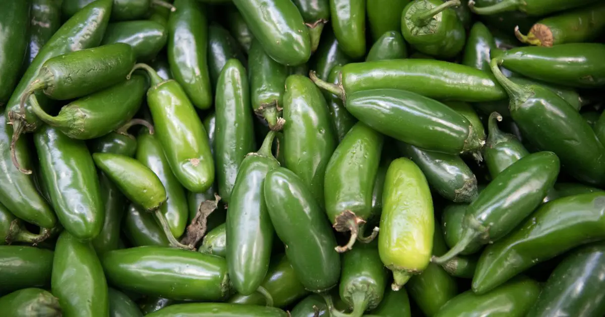 How To Grow Jalapenos From Seeds