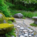 Rock Garden Ideas