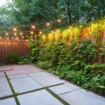 Narrow Backyard Ideas