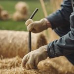 How To Prepare Straw Bales For Strawbale Gardening