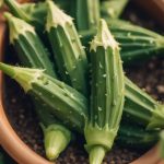 How To Grow Okra In Pots