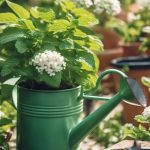 How To Grow Mint