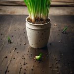 How To Grow Green Onions