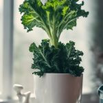 How To Grow Kale Indoors