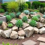 Succulent Rock Garden Ideas For The Front Yard