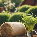 How To Plant A Straw Bale Garden